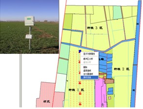 ߶麵ʵʱϵͳϵͳ TZS-GSM