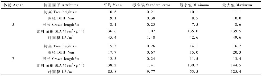 表1 欧美杨107杨林带的树木及树冠特征