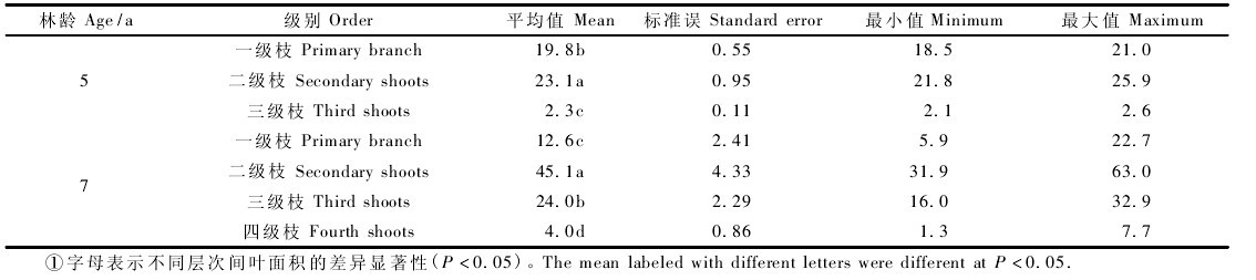 表 3 不同级别枝的叶面积