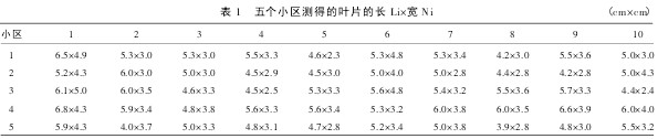 表 1 五个小区测得的叶片的长 Li×宽 Ni