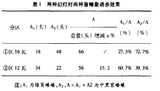表1 两种幻灯对两种盲蜻象诱杀效果