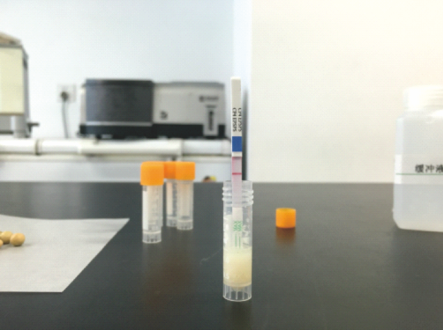 ת»ùÒò²âÊÔÖ½