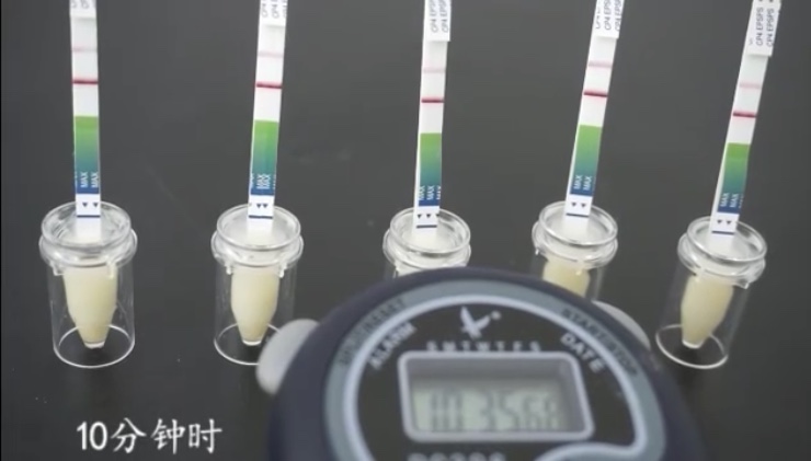 ת»ùÒò²âÊÔÖ½¼ì²âËÙ¶È¿ì