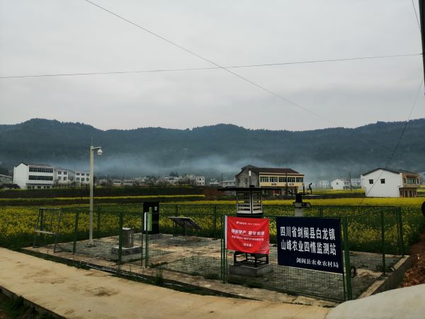 ũ溦