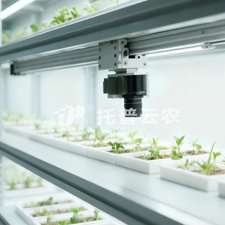 �˹�������ֲ����ͼ��ϵͳTP-PlantR TP-PlantR