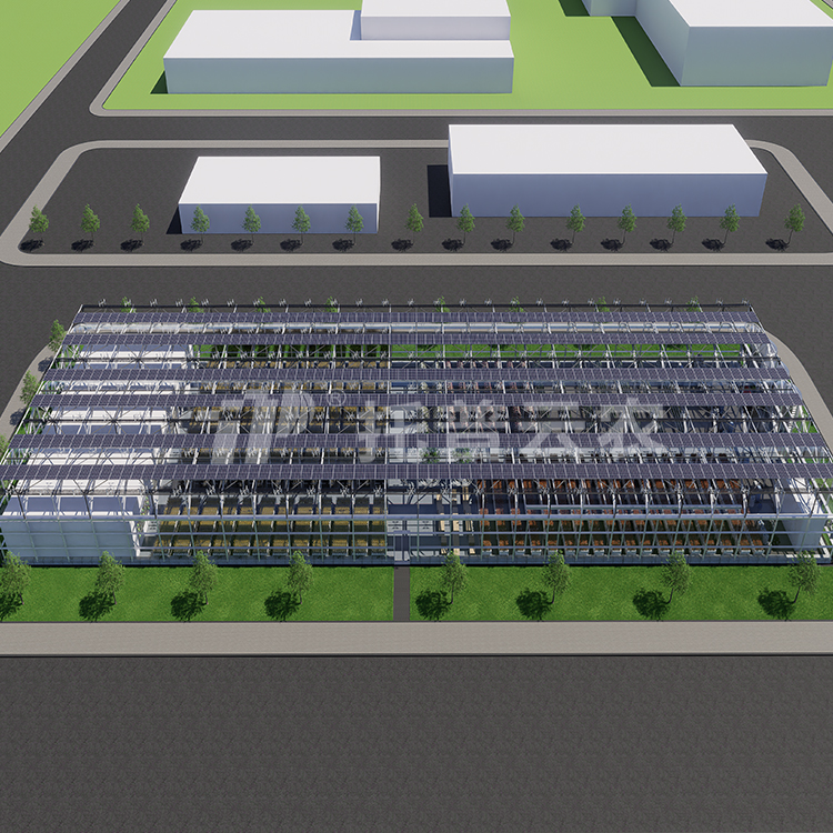 ������ֲ�﹤�� TP-ZWGCϵ��