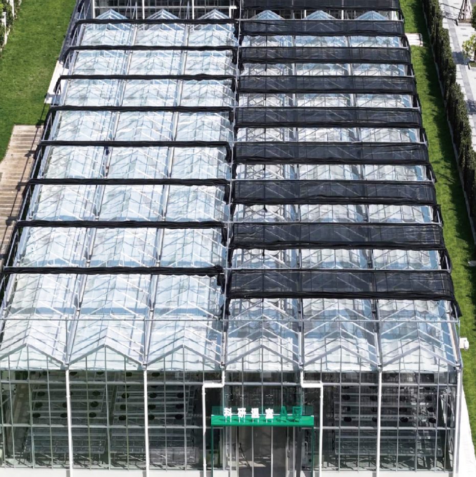 �������˹������� ����